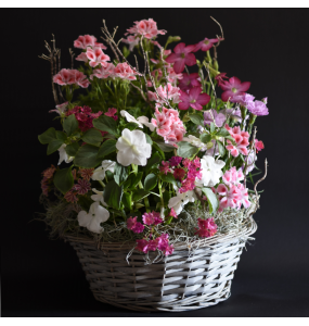 Plant basket pastel